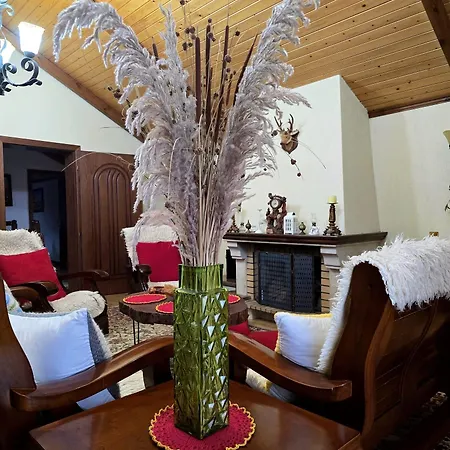 Villa Eni's Lezhë